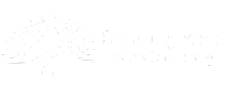 Stargaze Marketing